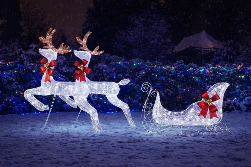 Solar Animal Lights