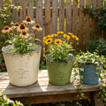 Mixed Colors (1 of each)