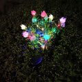 Gardenia white, colorful light