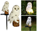 White Owl