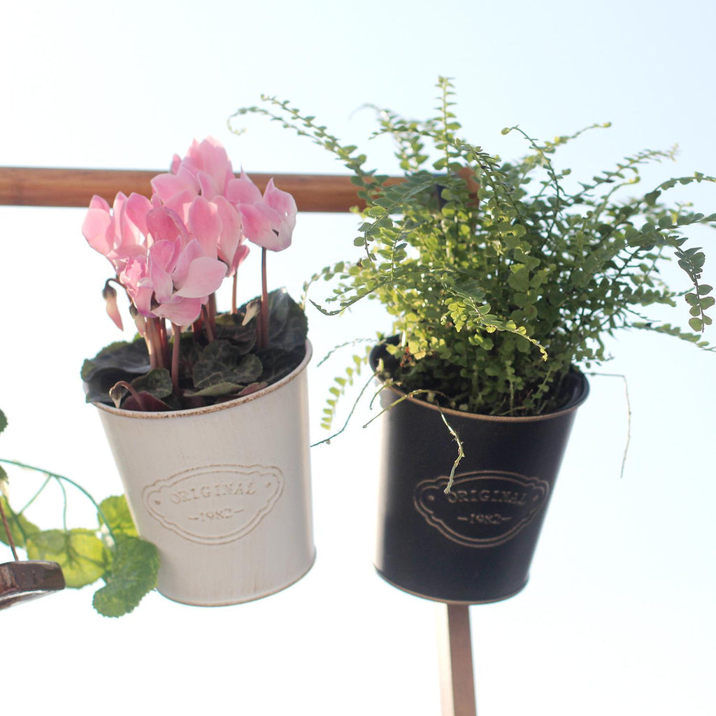 Vintage Iron Hanging Planter – Rustic "Original 1982" Balcony & Fence Flower Bucket (2 Colors)