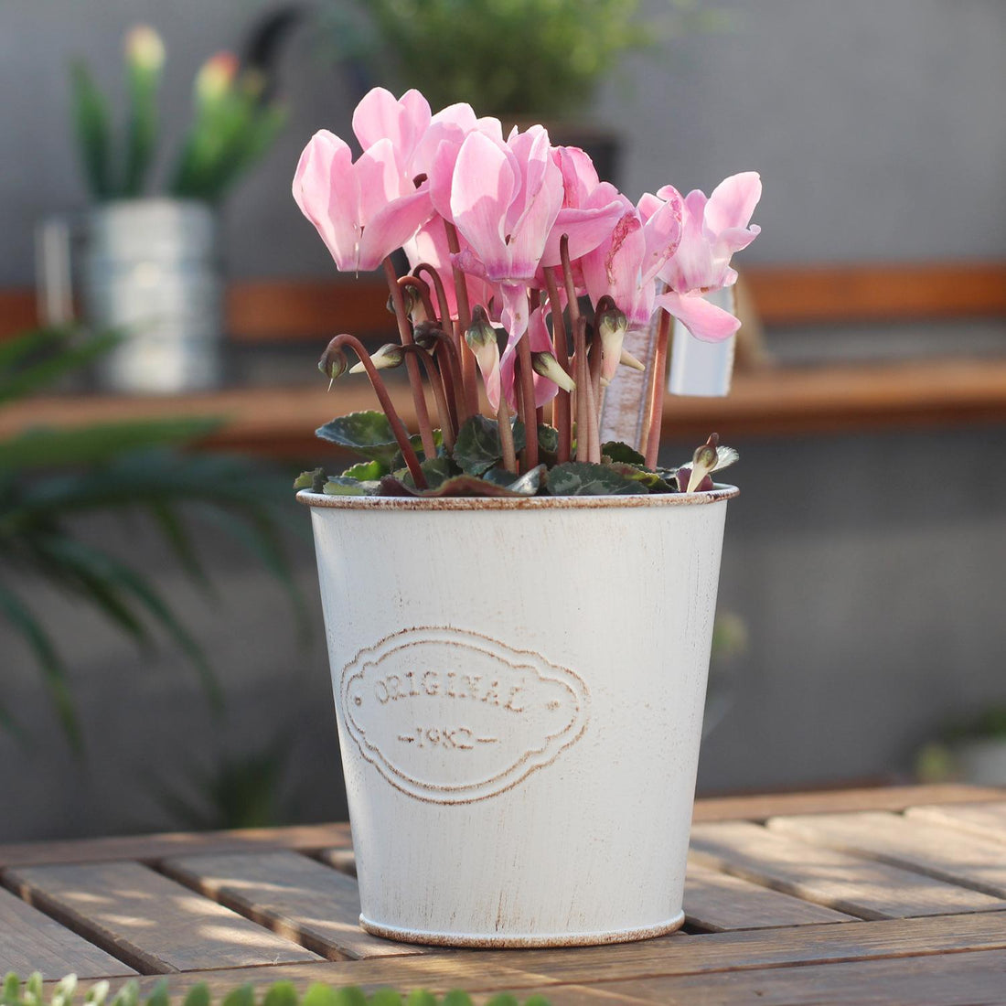 Vintage Iron Hanging Planter – Rustic "Original 1982" Balcony & Fence Flower Bucket (2 Colors)