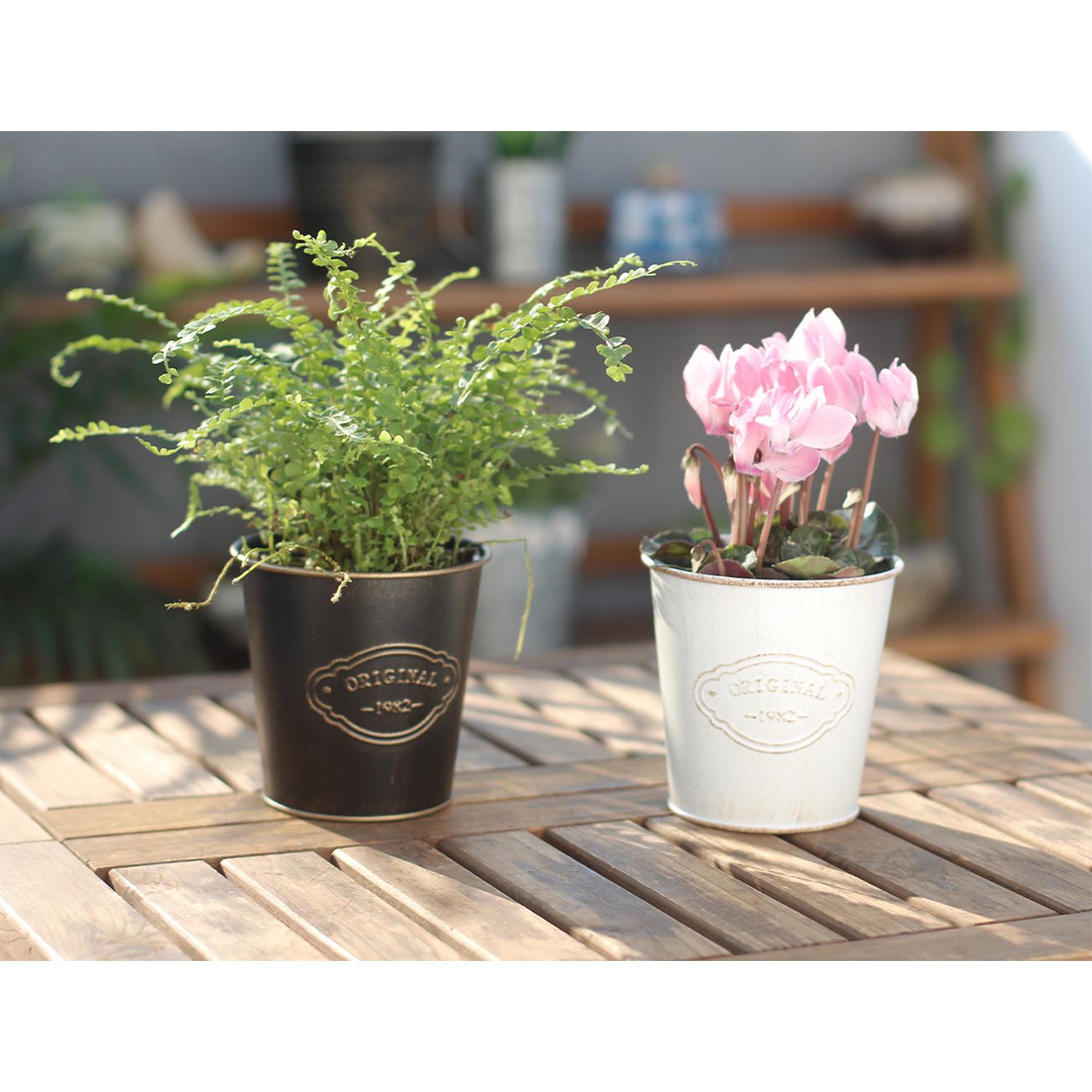 Vintage Iron Hanging Planter – Rustic "Original 1982" Balcony & Fence Flower Bucket (2 Colors)