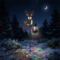 Reindeer / Multicolor