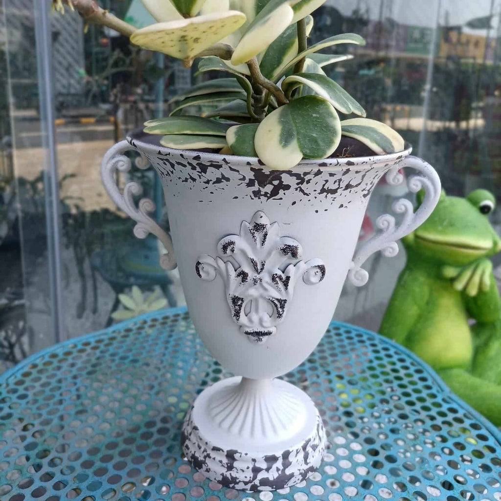 Decorative white vase with a plant on a blue table, frog figurine in the background