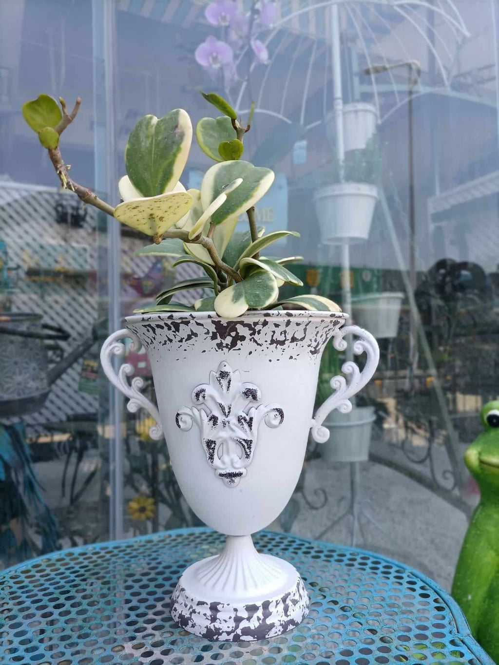 Decorative white vase with plant on a table in an outdoor setting