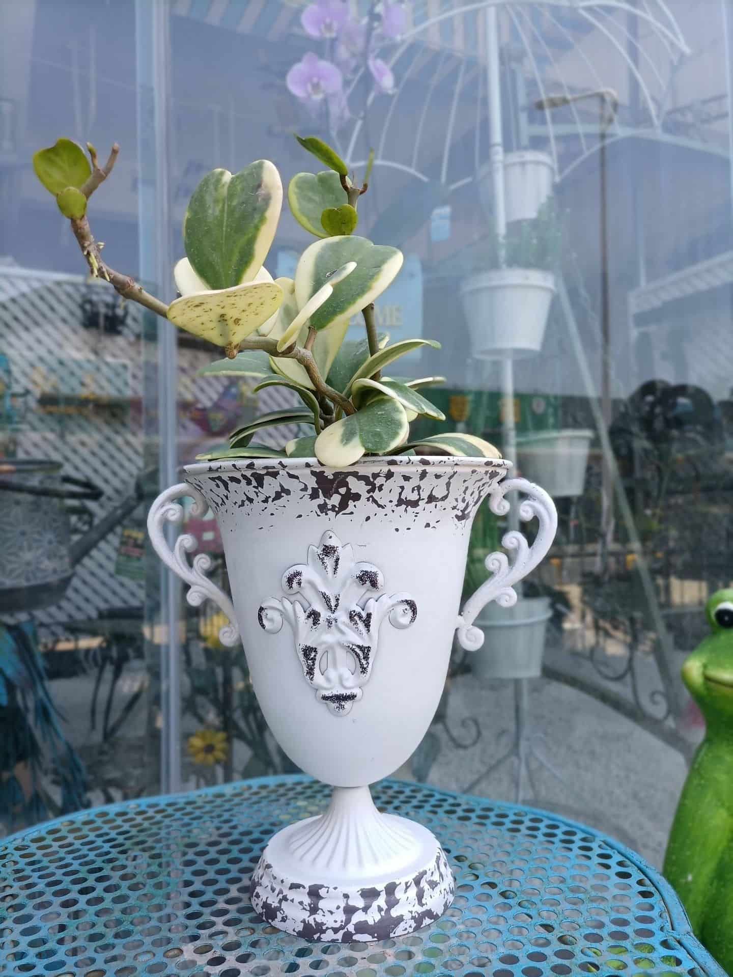 Decorative white vase with plant on a table in an outdoor setting