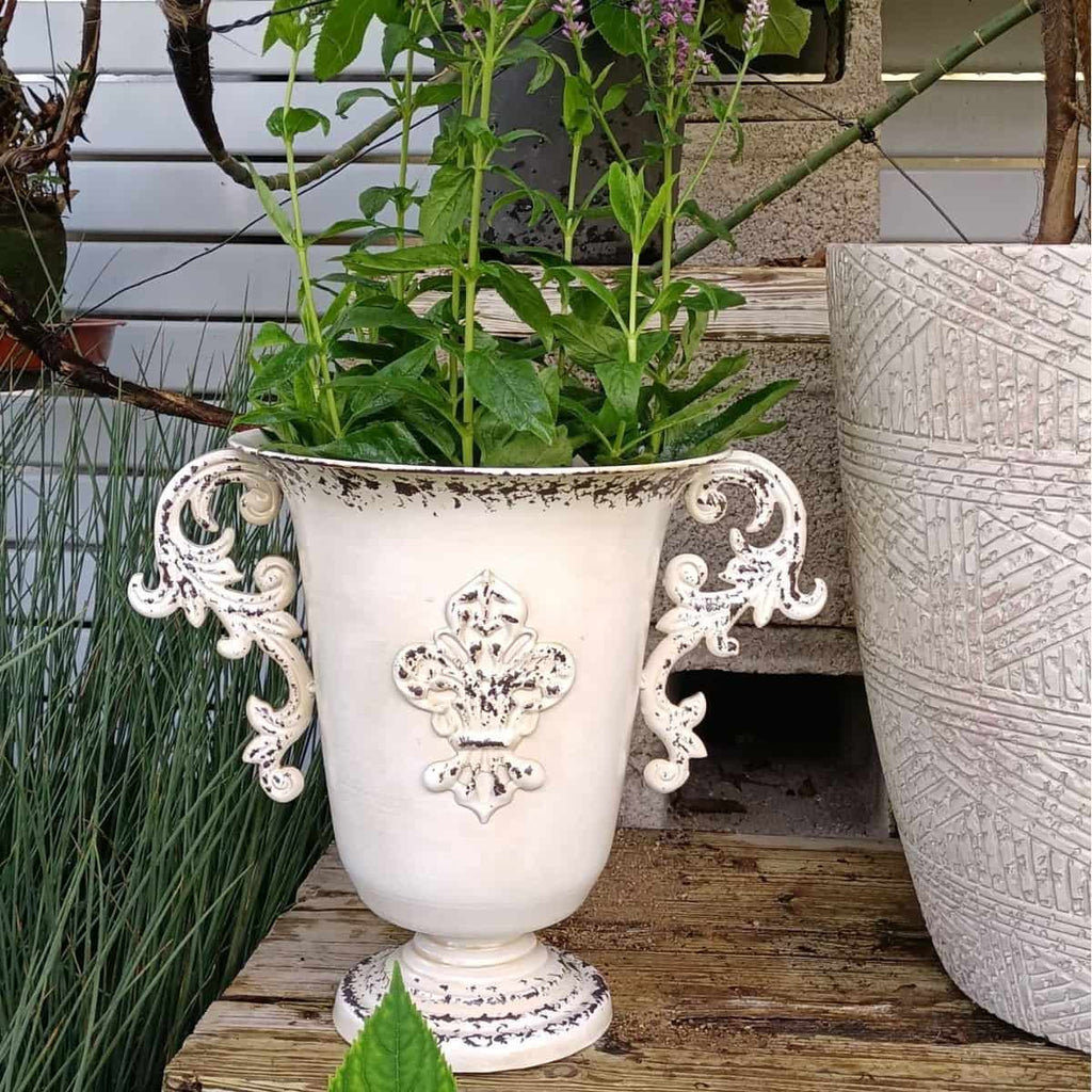 Elevate your garden with this vintage French-style trophy planter. Crafted from heavy cast iron with a distressed patina finish