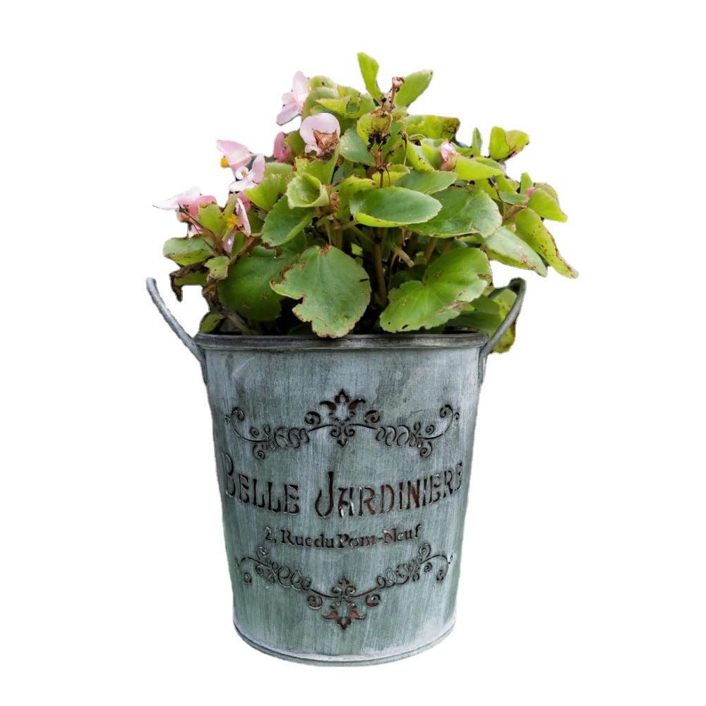 Galvanized metal planter bucket with curved handles and embossed “Belle Jardinière”