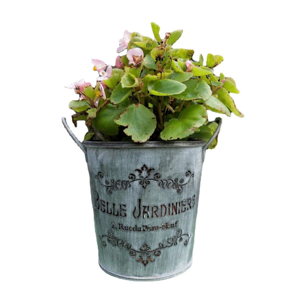 Decorative metal bucket with plants on a white background