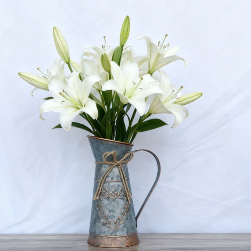 White lilies in a rustic blue pitcher on a white background