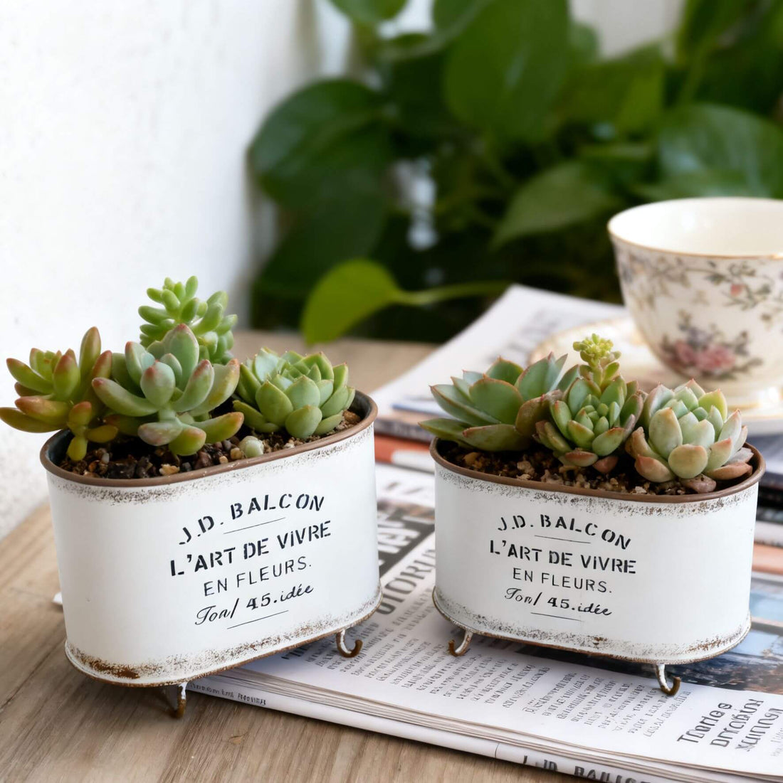 French Vintage Footed Oval Planter – "L'Art de Vivre" Galvanized Metal Tub with Drainage Hole - The Curated Shop