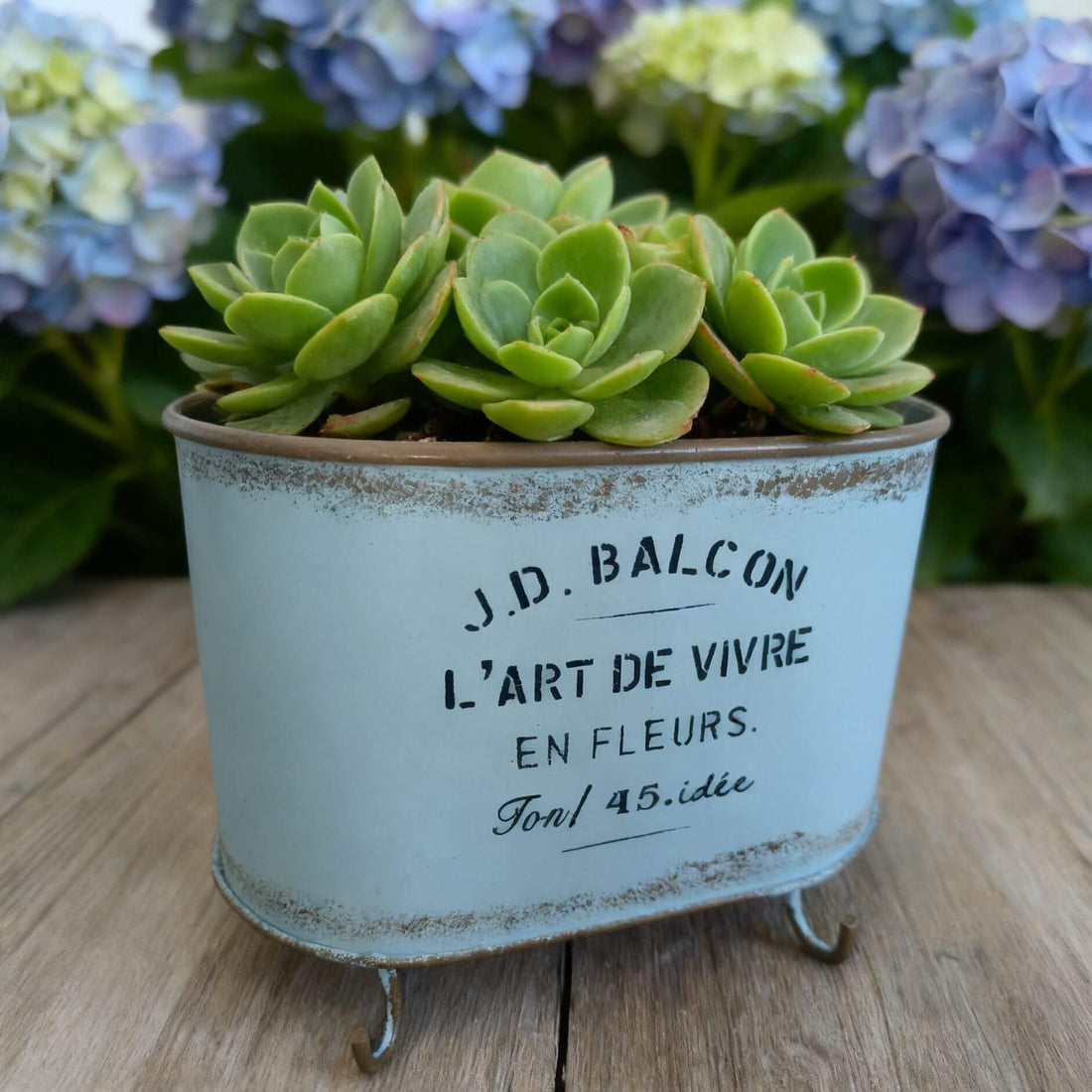 French Vintage Footed Oval Planter – "L'Art de Vivre" Galvanized Metal Tub with Drainage Hole - The Curated Shop