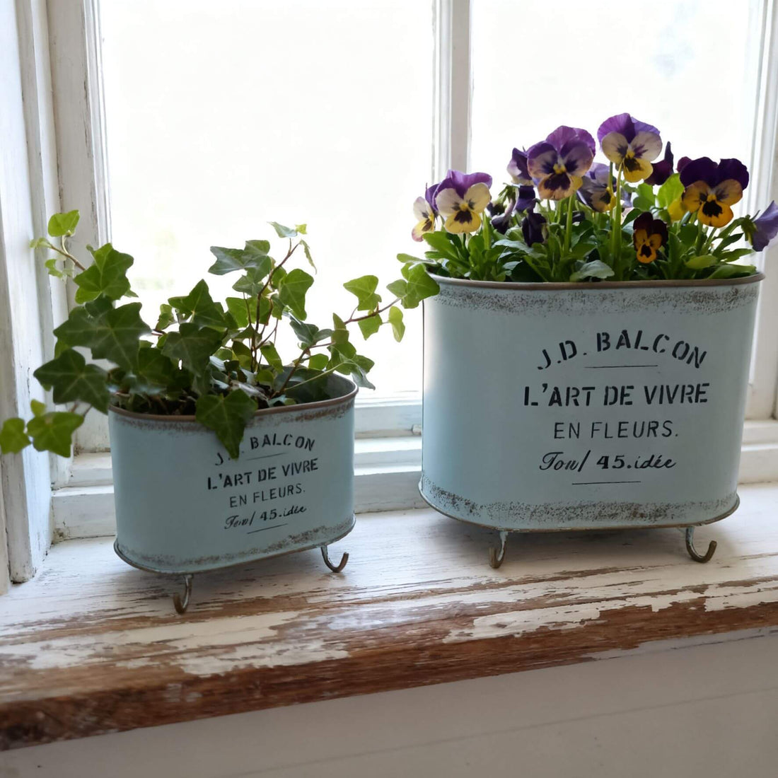 French Vintage Footed Oval Planter – "L'Art de Vivre" Galvanized Metal Tub with Drainage Hole - The Curated Shop
