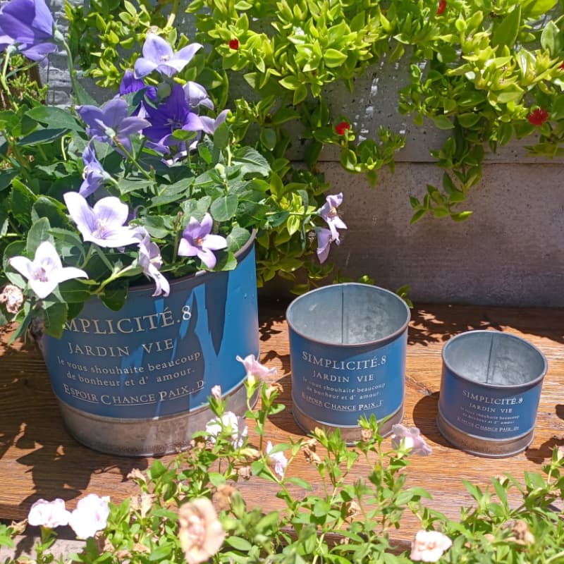 Three blue planters with flowers on a wooden surface surrounded by greenery