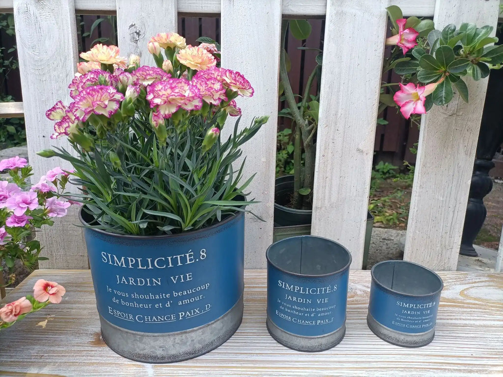 Three blue planters with pink flowers on a wooden surface.