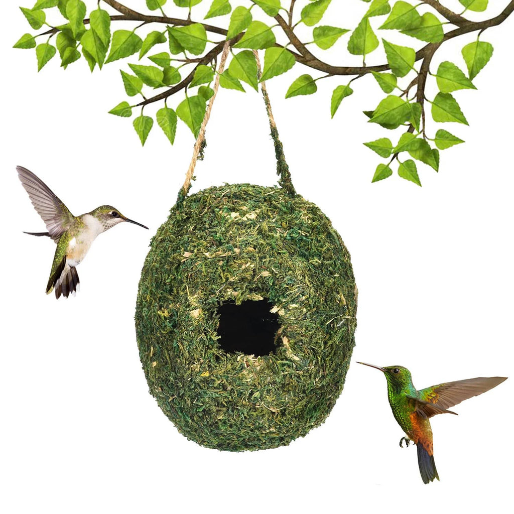 Birdhouse made of natural fibers hanging from a branch with two hummingbirds nearby.