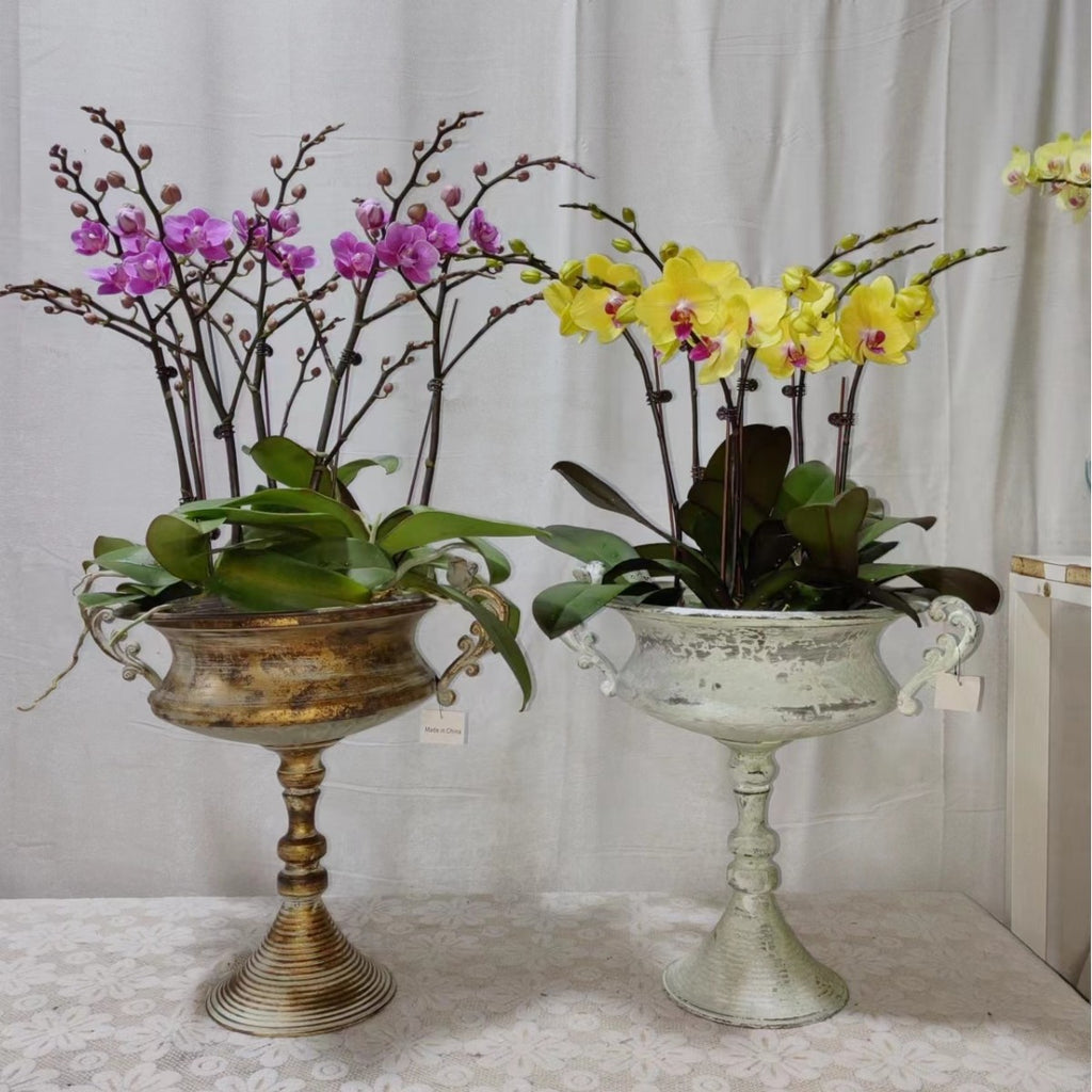 French Country Pedestal Planter Urn – Vintage Bird Trophy Garden Pot – Distressed Verdigris & Antique Gold (15.7" Tall)