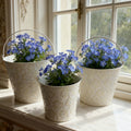 Antique White (Set of 3)