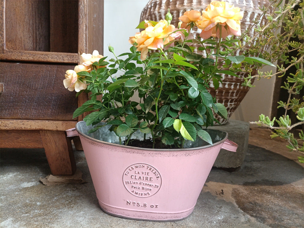 French Country Vintage Planter – Rustic "La Vie Claire" Oval Metal Tub (4 Colors)