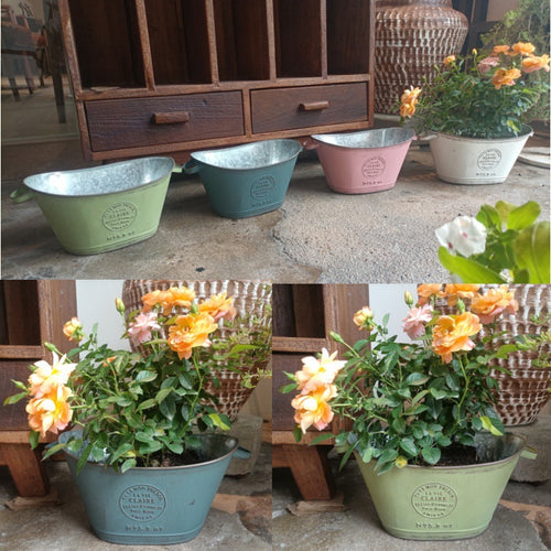 French Country Vintage Planter – Rustic "La Vie Claire" Oval Metal Tub (4 Colors)