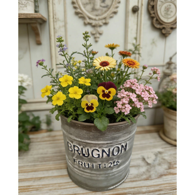 Vintage French Country "Brugnon Fruit" Metal Planters (Set of 2)
