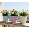 Multicolor(Set of 3)
