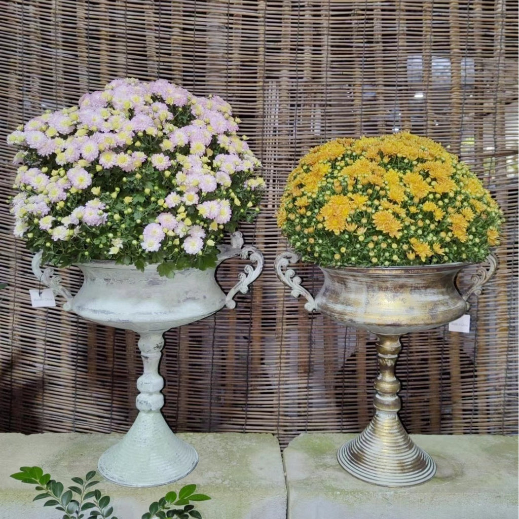 French Country Pedestal Planter Urn – Vintage Bird Trophy Garden Pot – Distressed Verdigris & Antique Gold (15.7" Tall)