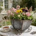 Antique Tin