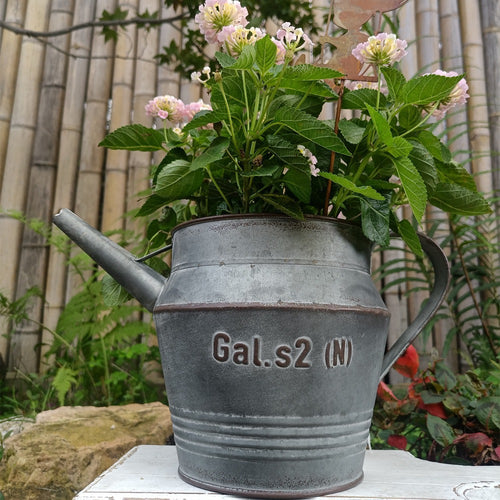 Vintage Farmhouse Watering Can Planter – Rustic Embossed Metal Pitcher Vase (6.1" Tall)