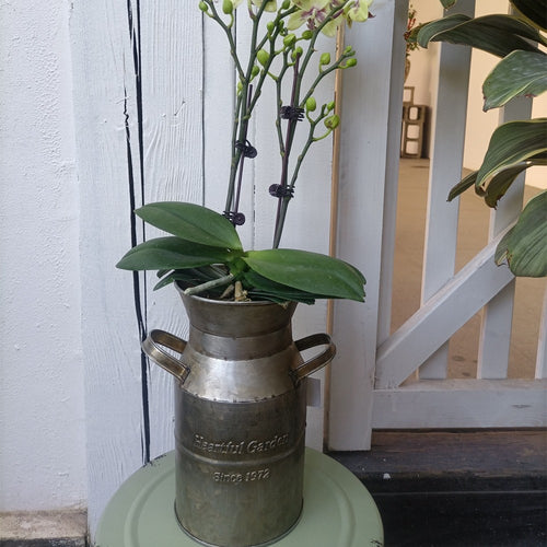 Vintage Copper Milk Can Planter – Rustic "Heartful Garden" Farmhouse Vase (8.6" Tall)