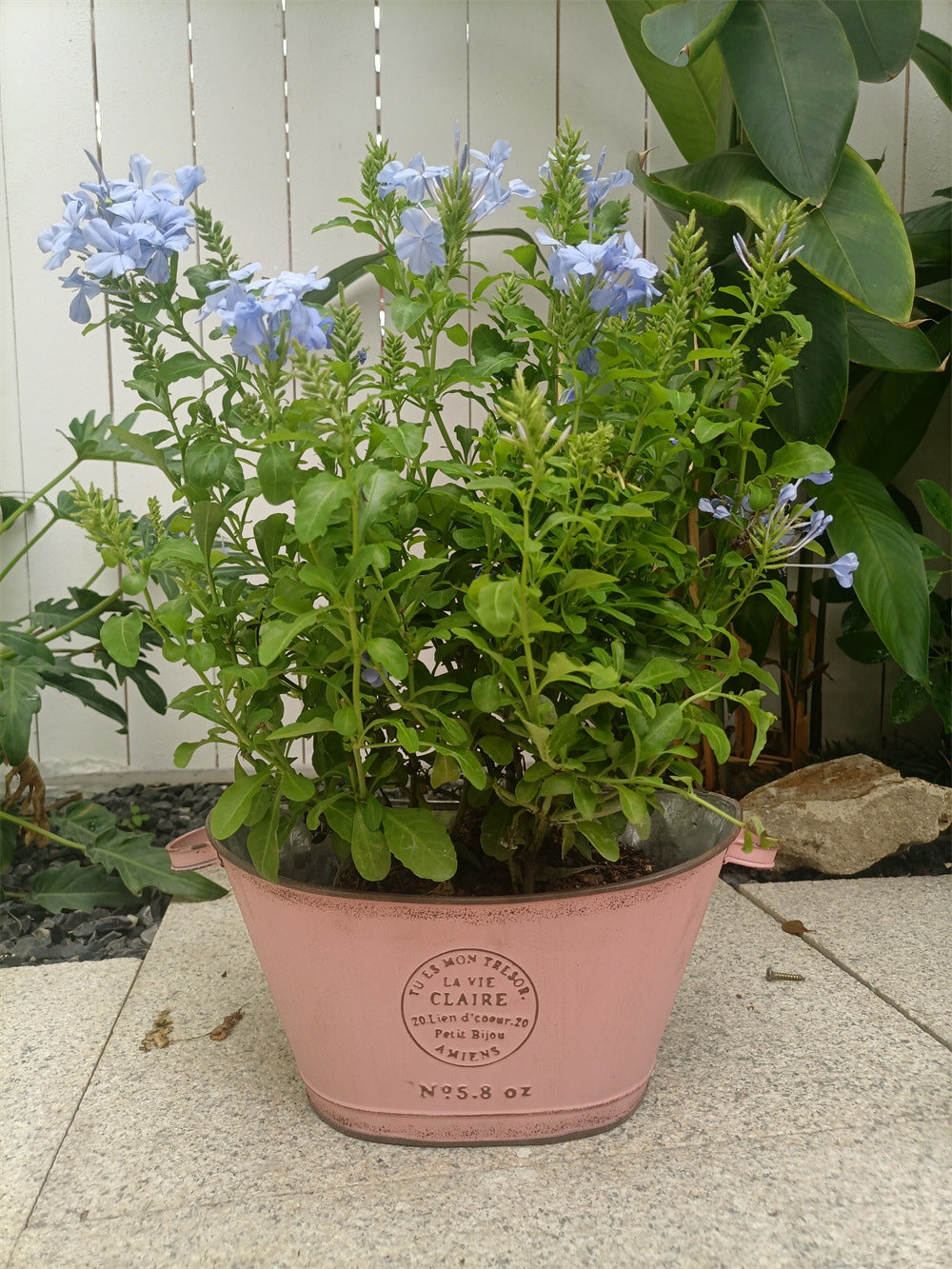 French Country Vintage Planter – Rustic "La Vie Claire" Oval Metal Tub (4 Colors)