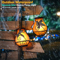 Dragonflies lanterns