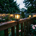 Vintage Tungsten LED (Warm White)