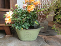 French Country Vintage Planter – Rustic "La Vie Claire" Oval Metal Tub (4 Colors)