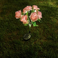 7 pink roses