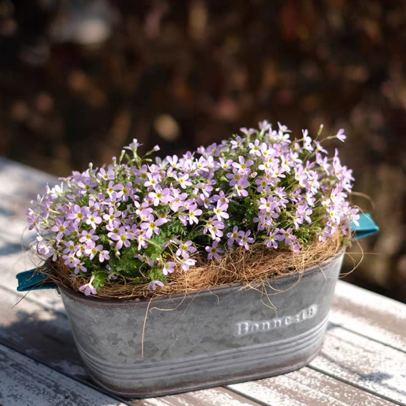 Vintage French Country Galvanized Planter – Distressed "Bonne" Metal Pot with Blue Handles (4 Styles)