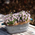 Vintage French Country Galvanized Planter – Distressed "Bonne" Metal Pot with Blue Handles (4 Styles)