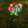 7 colorful roses