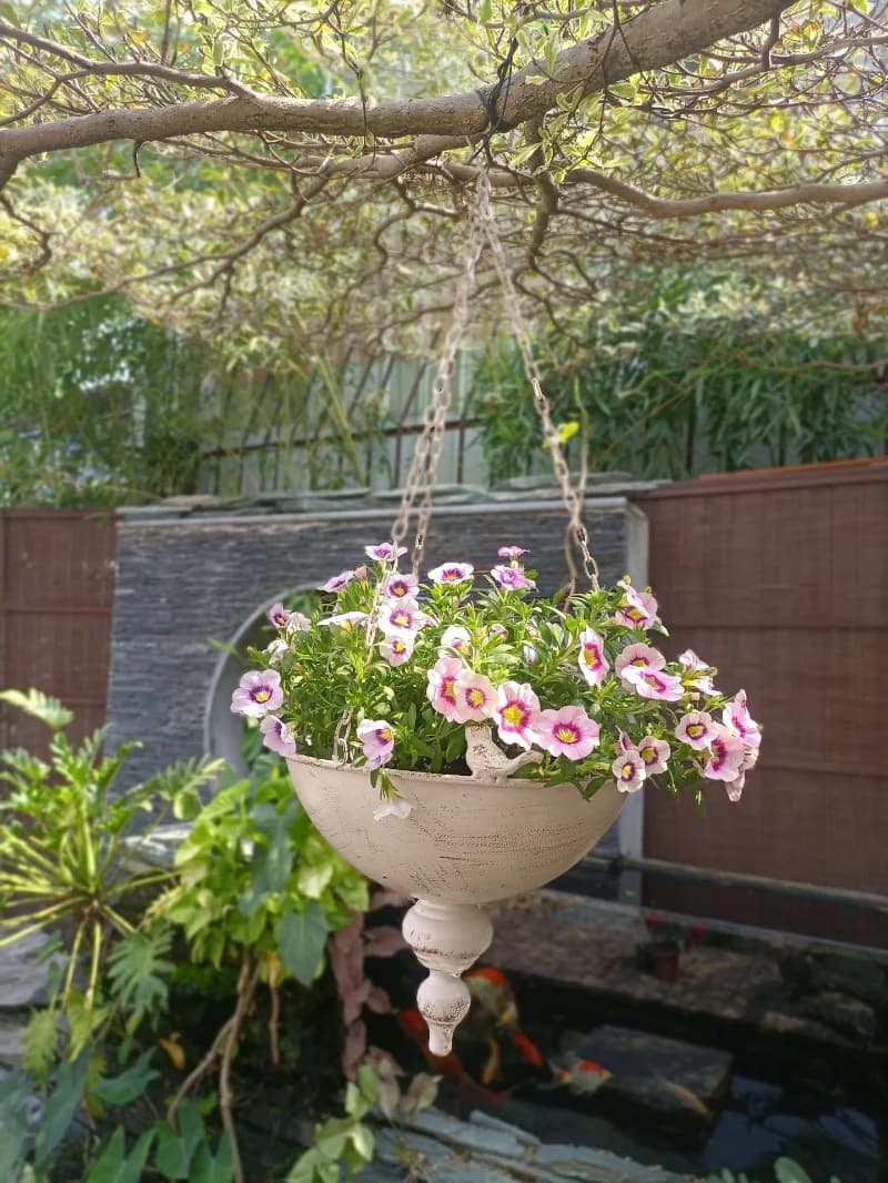 White hanging planter with pink flowers in a garden setting