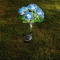 7 blue roses