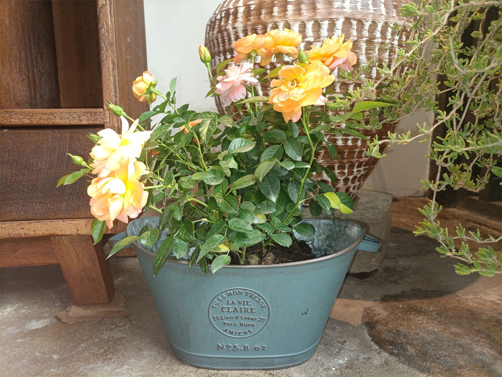 French Country Vintage Planter – Rustic "La Vie Claire" Oval Metal Tub (4 Colors)