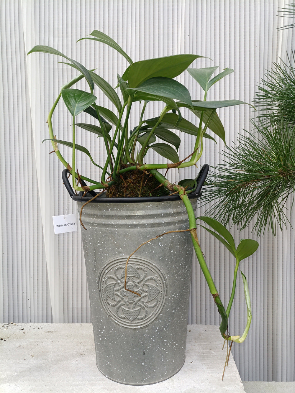 Vintage French Country Metal Planter Bucket with Double Handles