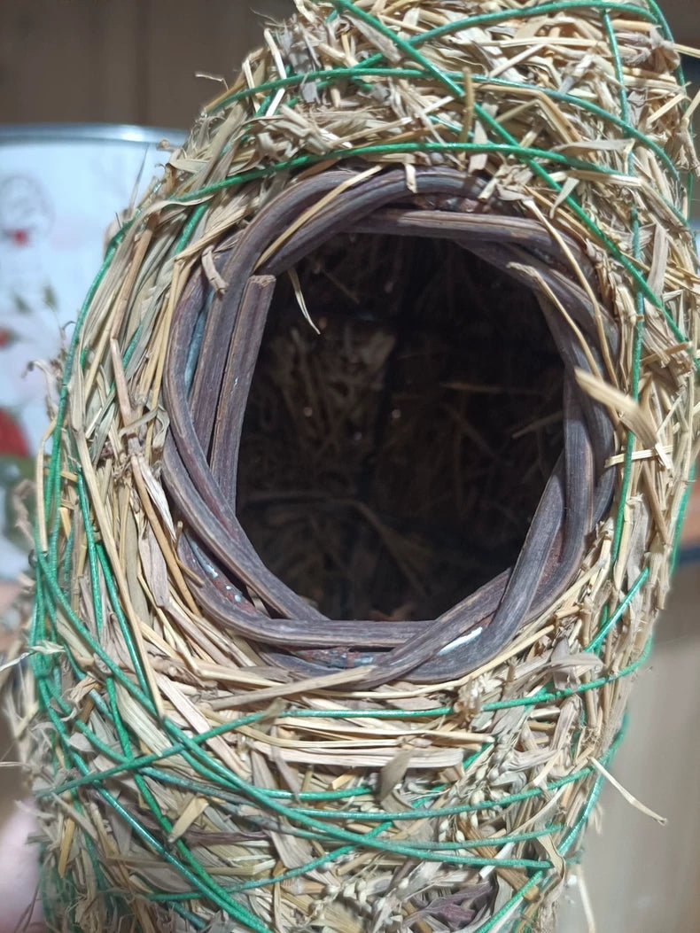 Close-up of woven straw bird nest opening with green accents and gray rim lining
