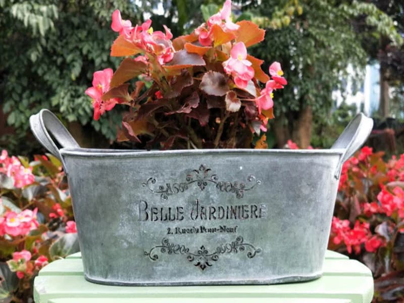 Garden & backyard decoration,Patio / balcony styling,Kitchen herb display,Farmhouse interior decor,Airbnb / homestay styling