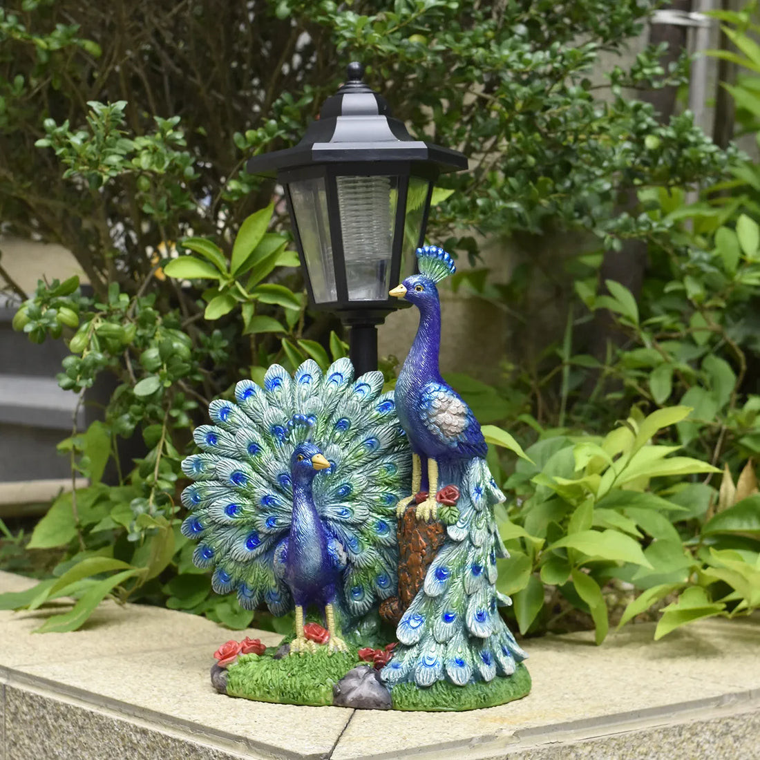 Peacock pair garden resin statue with glowing LED lantern, painted blue feathers