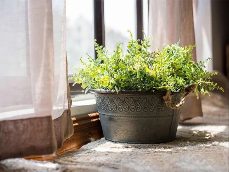 Vintage Galvanized Metal Planter with Rope Handles (3 Sizes)