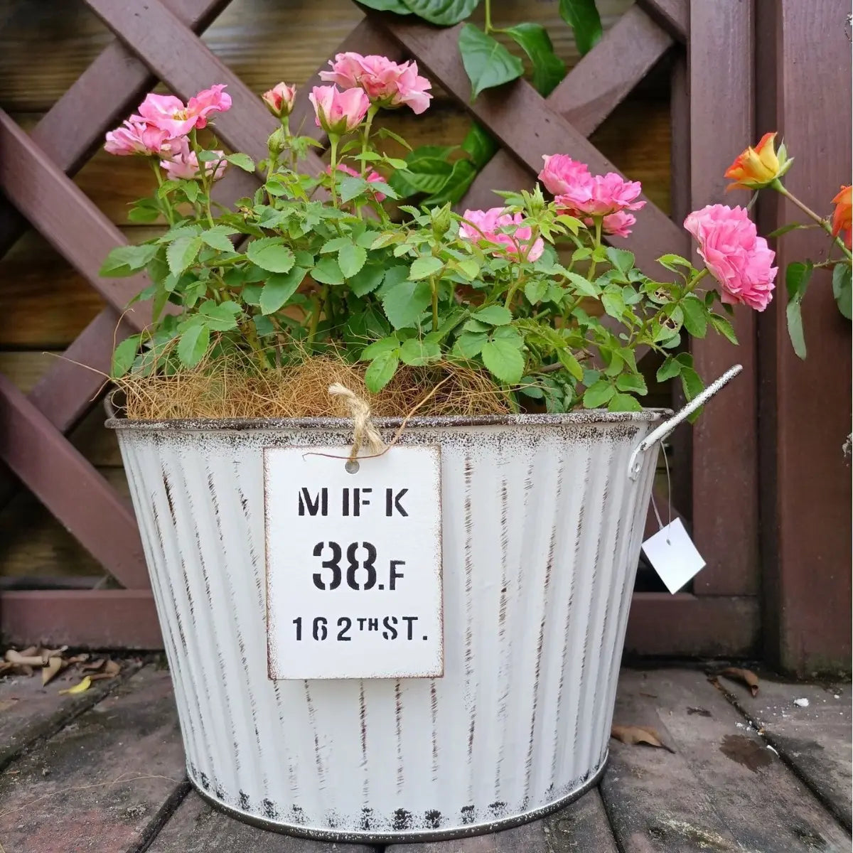 Potted plant with pink flowers in a rustic metal container on a wooden deck.