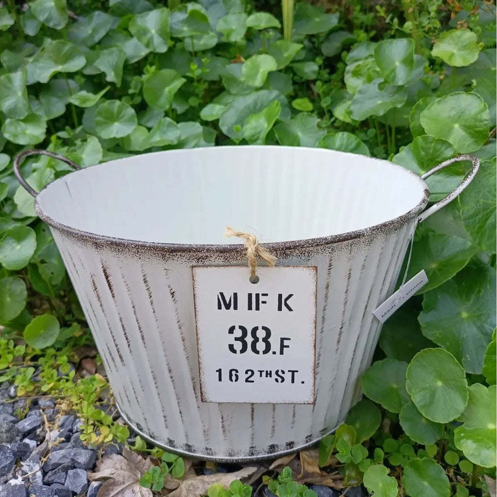 Vintage-style metal bucket with a sign on a green leafy background