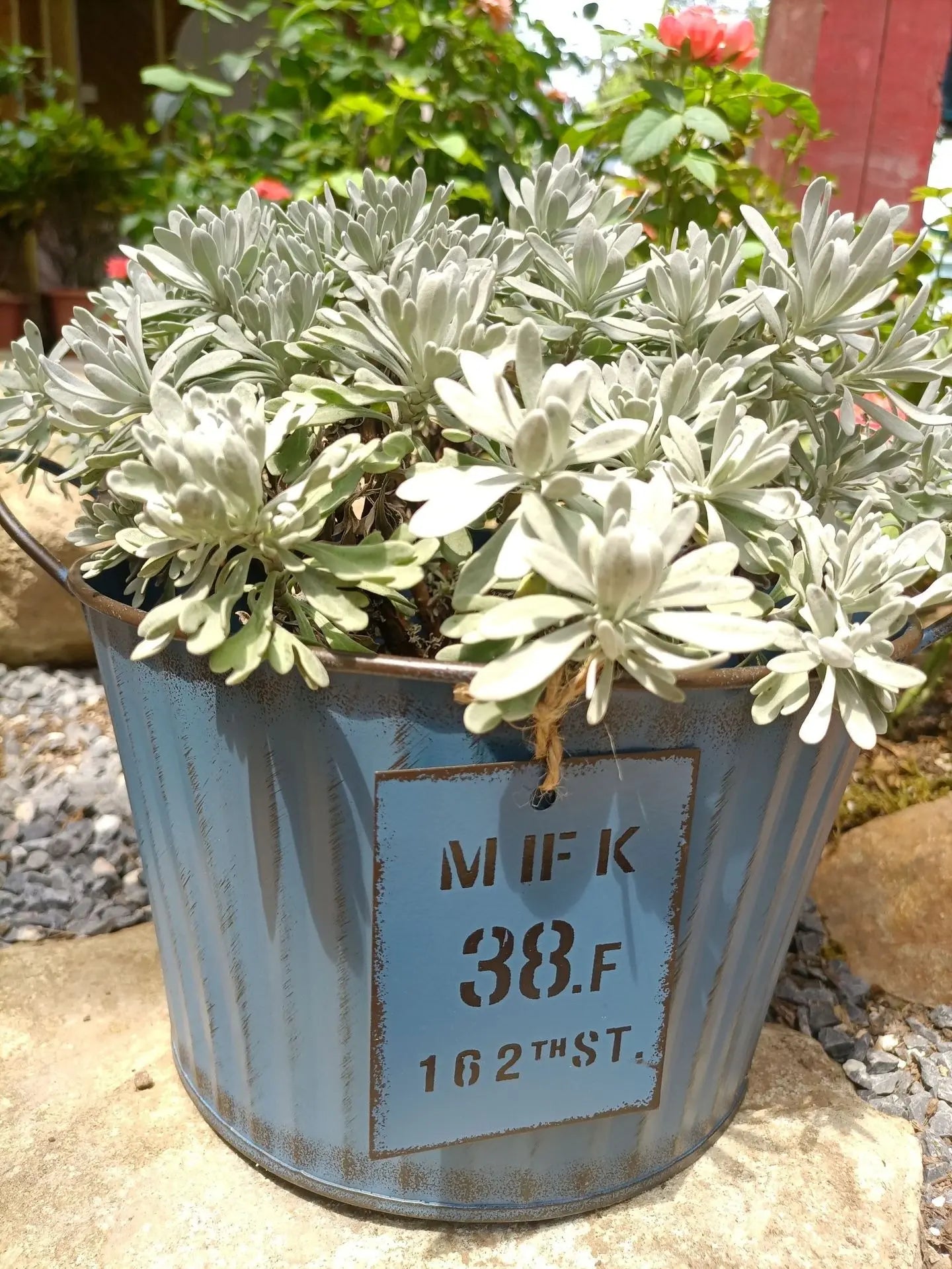 Potted plant in a blue metal container with text on a garden background